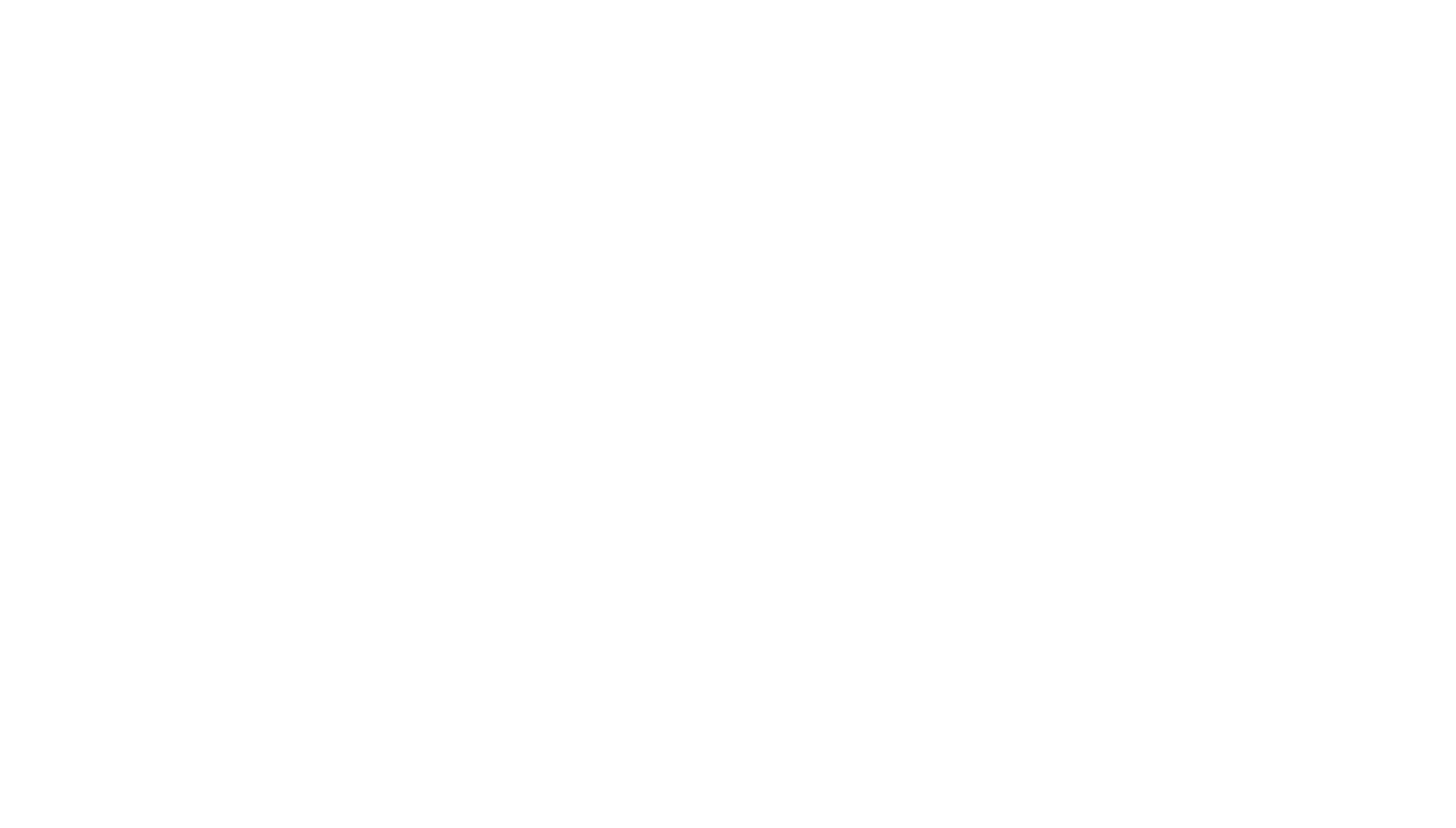 PNG FONDO TRANSPARENTE MARCA G20 CORPORATION 2025_BLANCO
